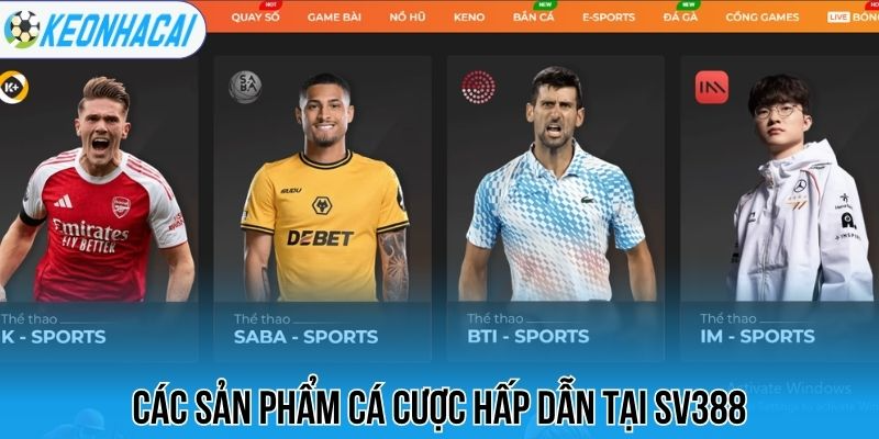 Các sản phẩm cá cược hấp dẫn tại Sv388
