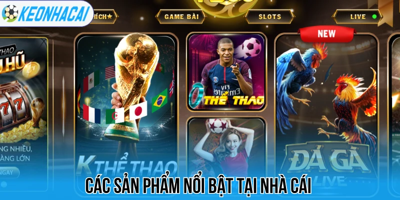 Các sản phẩm nổi bật tại nhà cái 