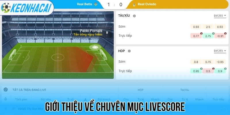 Giới thiệu về chuyên mục livescore