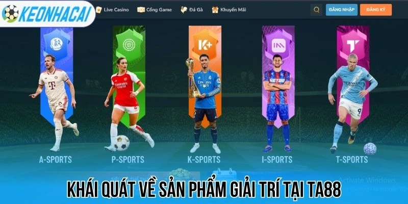 Khái quát về sản phẩm tại Ta88
