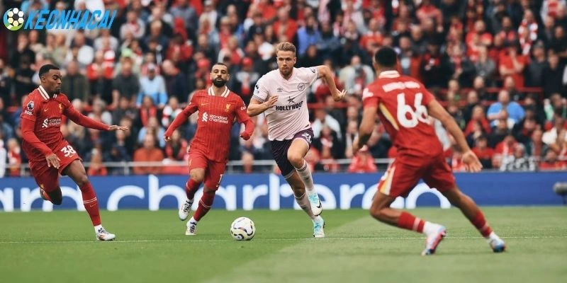 Liverpool vs Brentford tình hình hiện tại