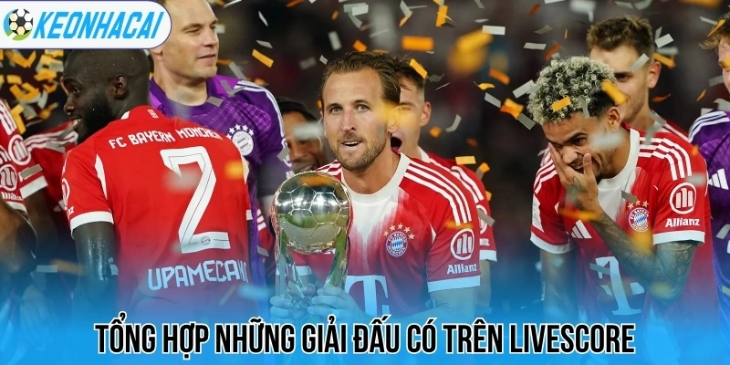 Tổng hợp những giải đấu có trên livescore